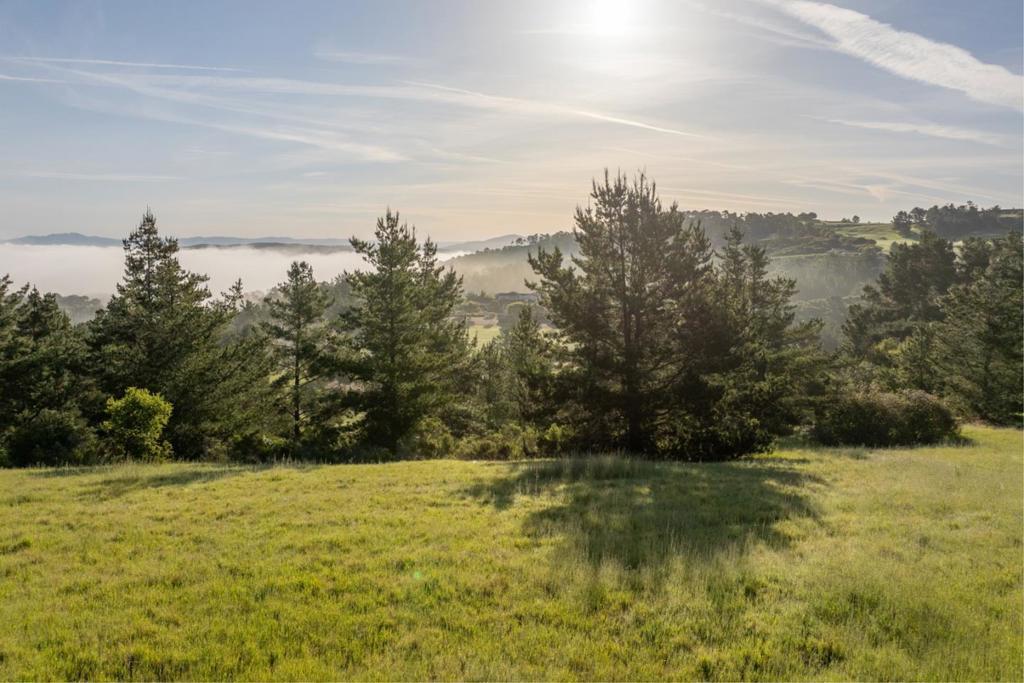 MLS #ML82051640 image #0