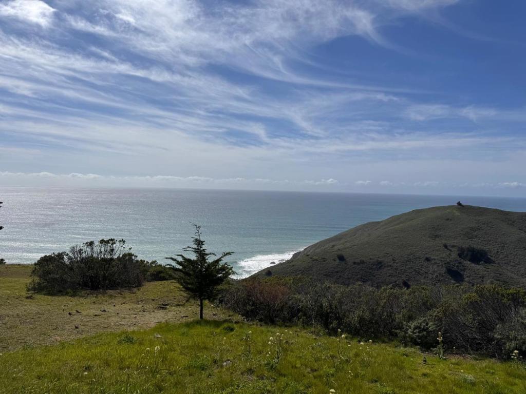MLS #ML82052235 image #0