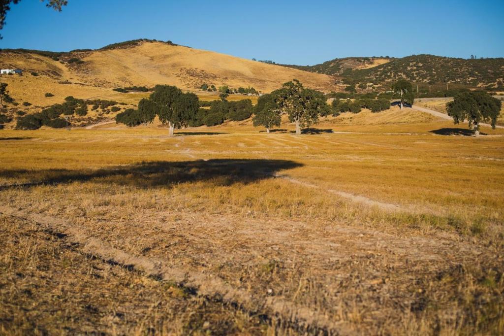68353 Jolon RD Bradley CA 93426 | MLS #ML82053412 29 MLS #ML82053412 image #0