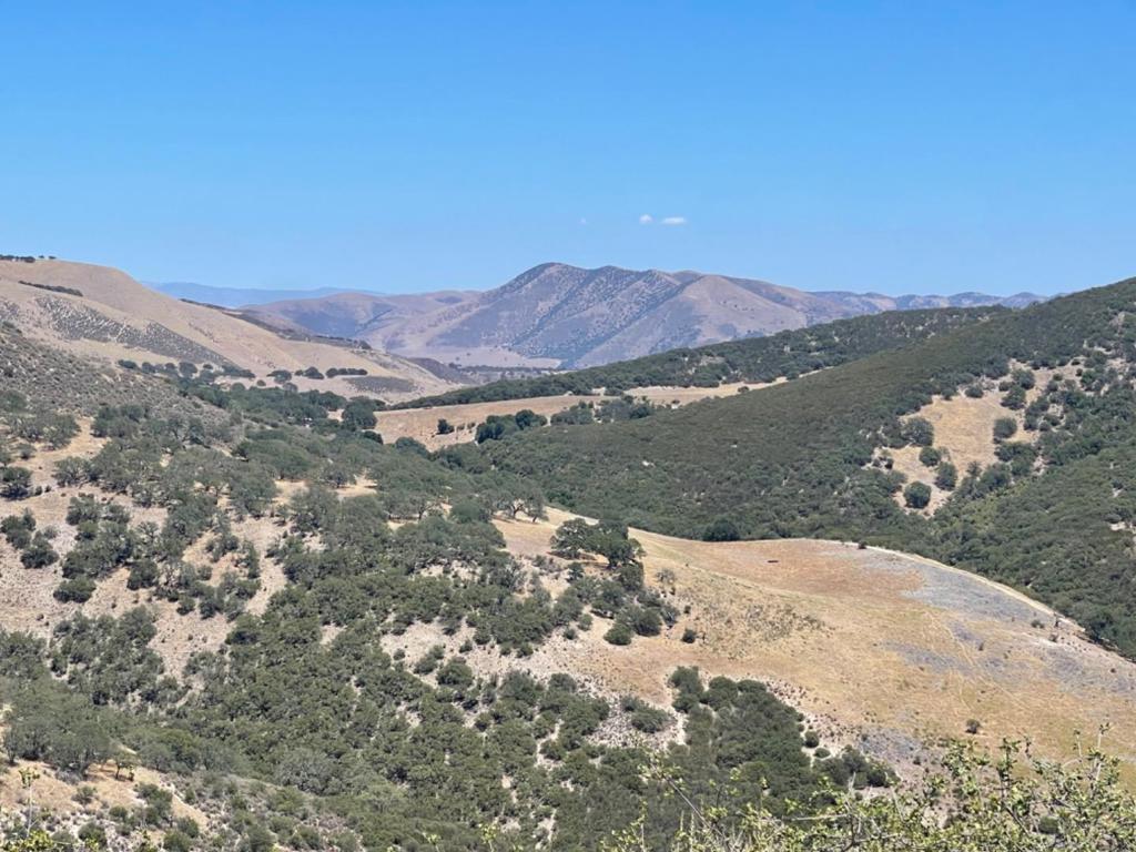 MLS #ML82054297 image #0