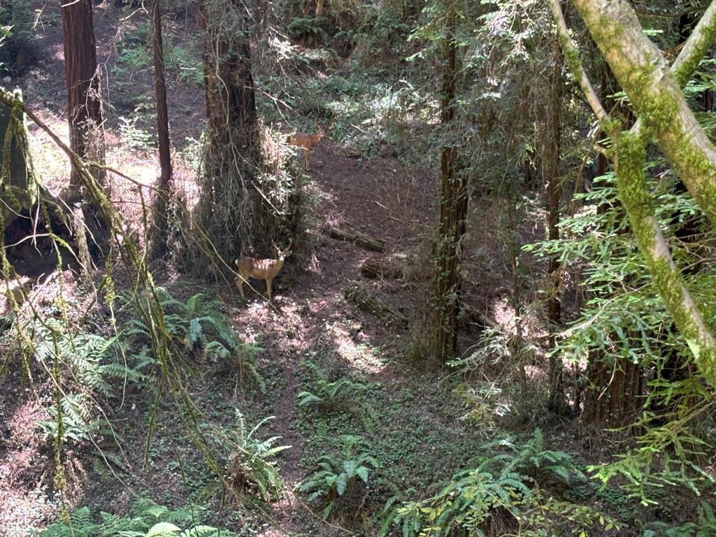 MLS #ML82054513 image #0