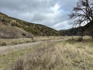 MLS #ML82056187 image #0