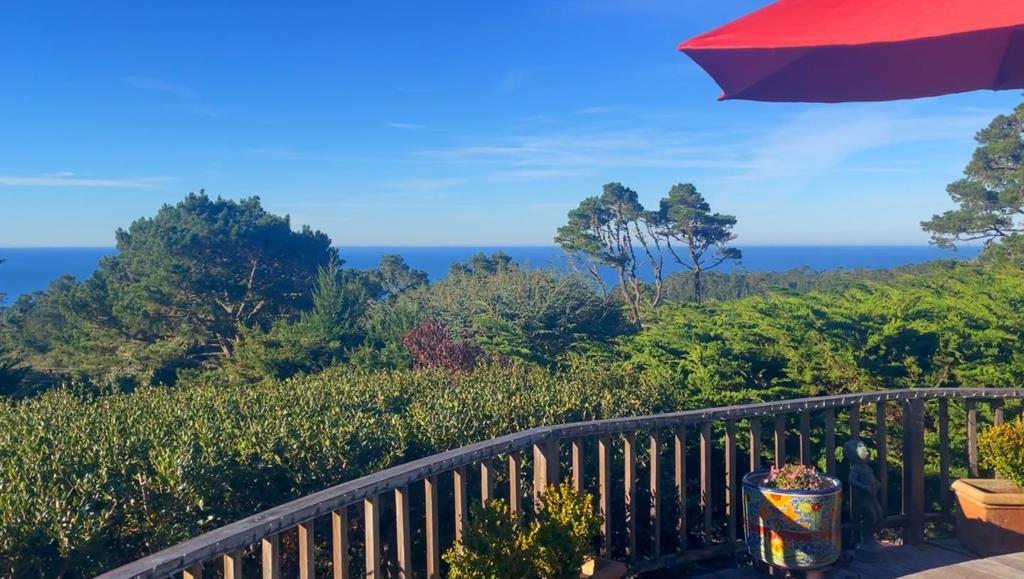 24400 S. San Luis AV Carmel CA 93923 | MLS #ML82057008 45 MLS #ML82057008 image #0