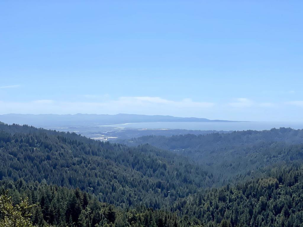 MLS #ML82058127 image #0
