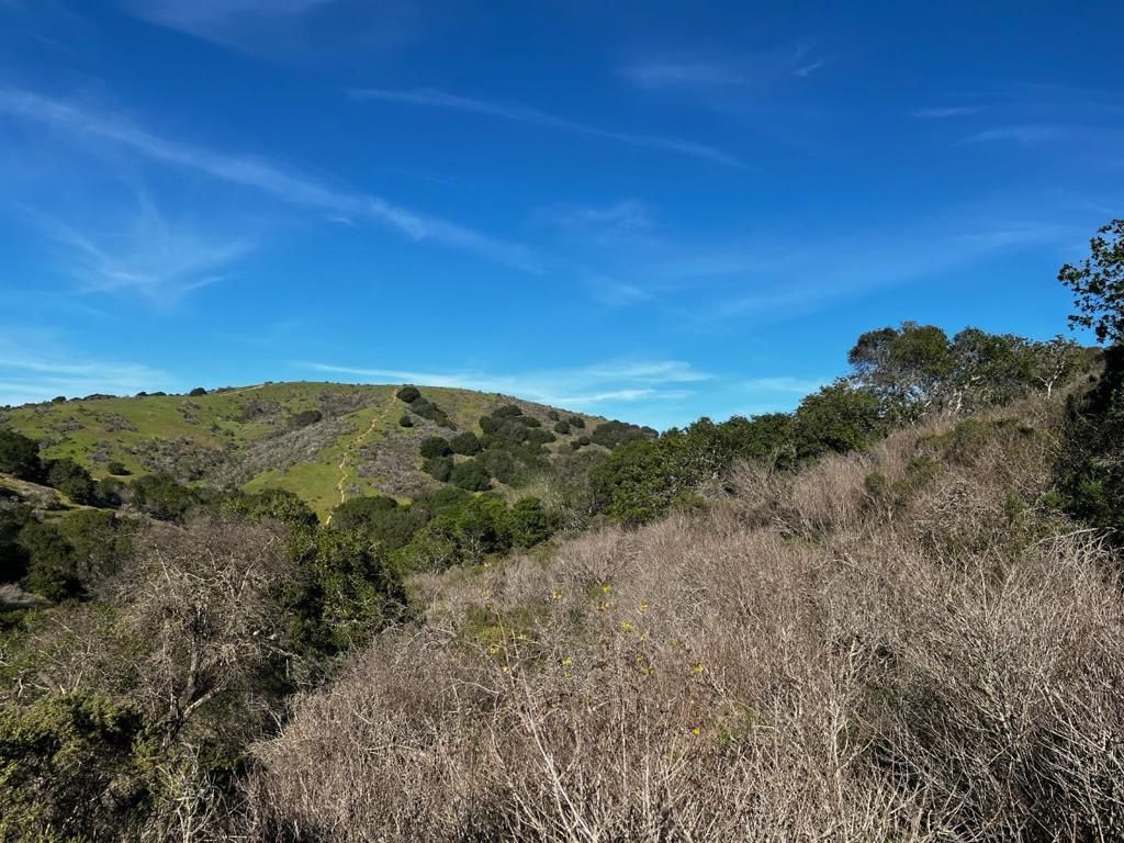3455 Bartlett Belmont CA 94002 | MLS #ML82059469 13 MLS #ML82059469 image #0