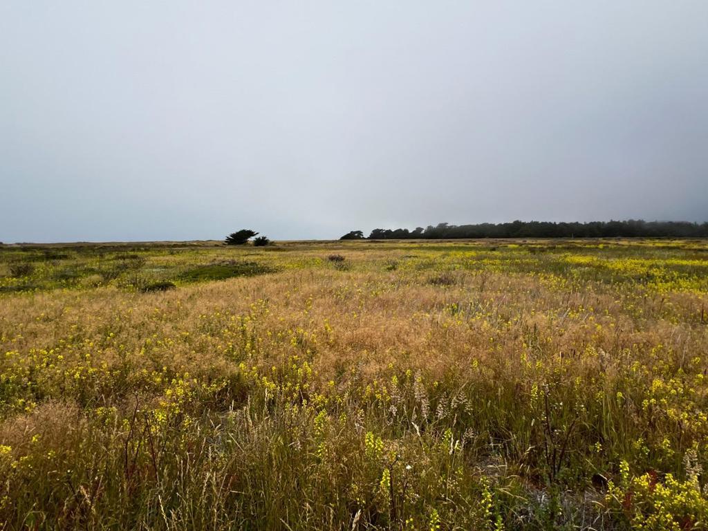 MLS #ML82060842 image #0