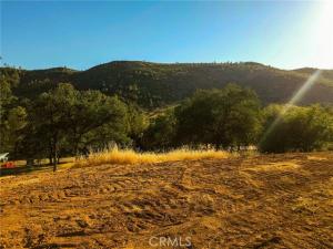 MLS #MP24135399 image #0