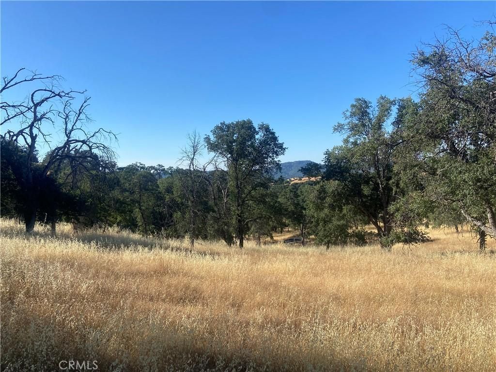 MLS #MP24144678 image #0