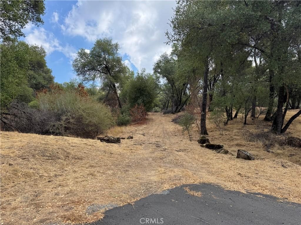 MLS #MP25222738 image #0