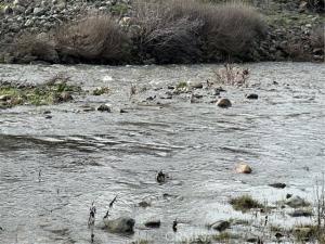 MLS #MP26001413 image #0