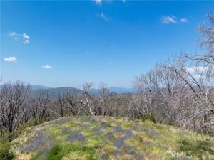 MLS #MP26107178 image #0
