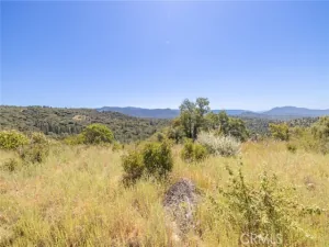 broker reciprocity
