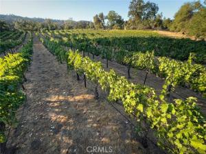 MLS #MP26171169 image #0