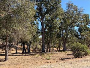 MLS #MP26222932 image #0