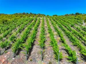 MLS #ND25141661 image #0