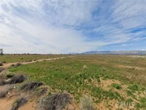 MLS #ND25192305 image #0