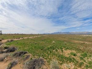 MLS #ND25192305 image #0