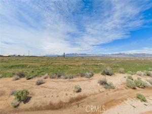 MLS #ND25192321 image #0