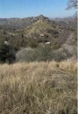 MLS #ND25194313 image #0