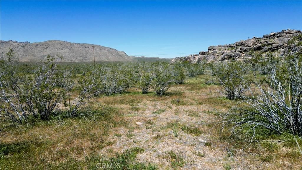 MLS #ND25195029 image #0