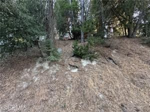 MLS #ND25195039 image #0