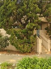 MLS #ND25250563 image #0