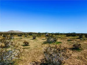 broker reciprocity