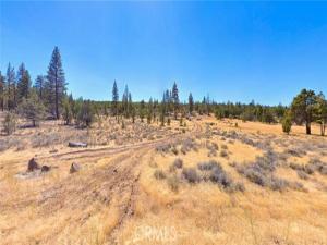 MLS #ND26112550 image #0