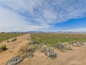 MLS #ND26186727 image #0