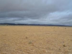 MLS #NDP2210662 image #0