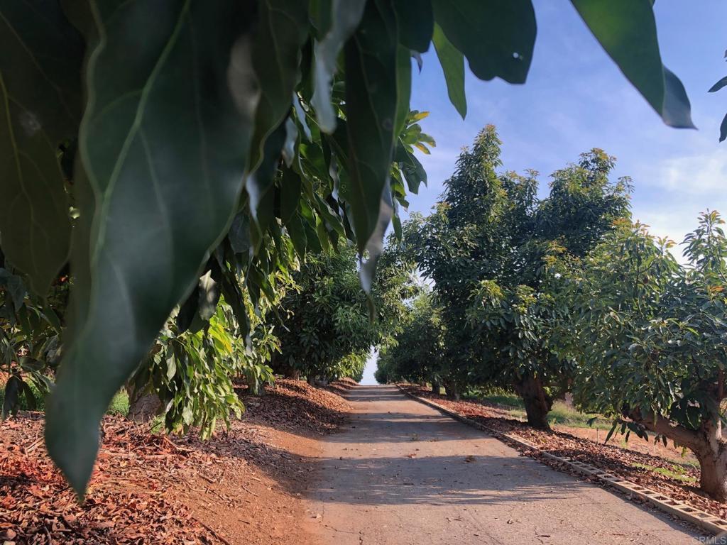 MLS #NDP2410465 image #0