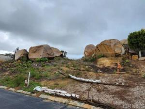 MLS #NDP2505470 image #0