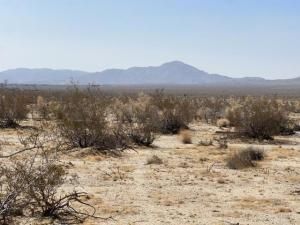 MLS #NDP2506292 image #0