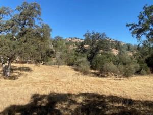 MLS #NDP2508213 image #0