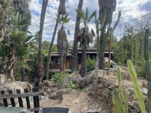 MLS #NDP2510220 image #0