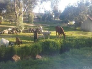 MLS #250026268SD image #0