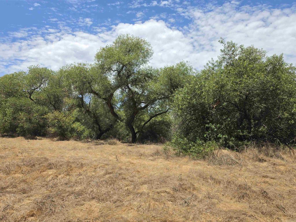 .41 acres Durgin Street Ramona CA 92065 | MLS #NDP2607342 9 MLS #NDP2607342 image #0