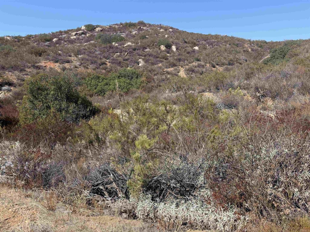 Lot 1 Japatul Rd Alpine CA 91901 | MLS #NDP2608888 25 MLS #NDP2608888 image #0