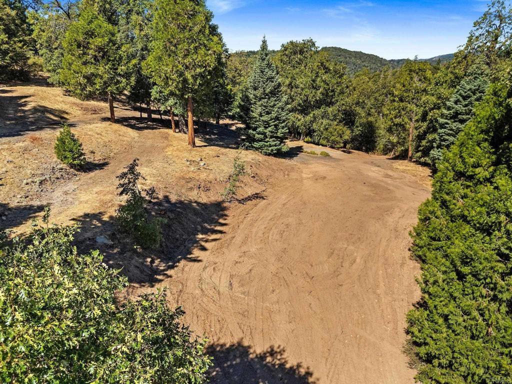 22520 Greenfield Palomar Mountain CA 92060 | MLS #NDP2609219 13 MLS #NDP2609219 image #0