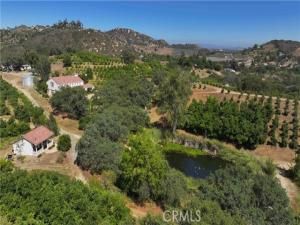 MLS #NP25183131 image #0