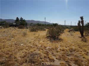 MLS #NP25217657 image #0
