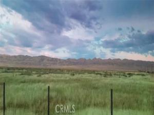 MLS #NP25250277 image #0