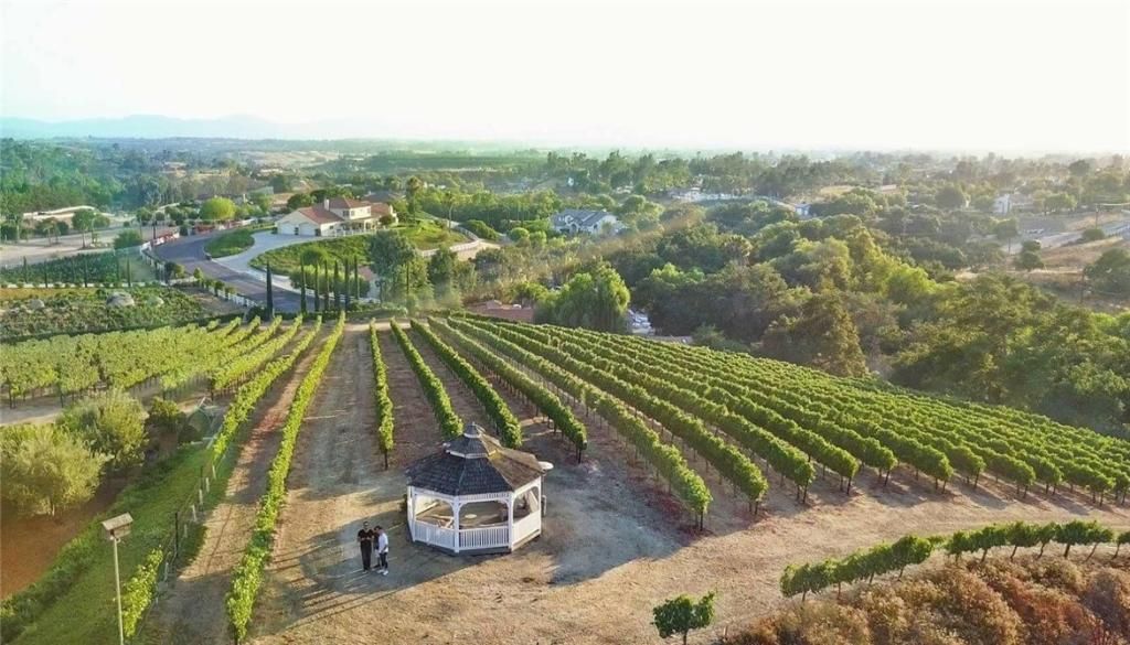 MLS #NP25256634 image #0