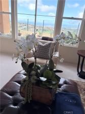 MLS #NP26008499 image #0