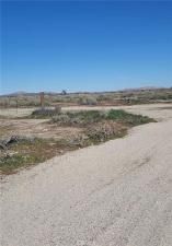 MLS #NP26040378 image #0