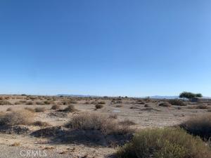 MLS #NP26216557 image #0