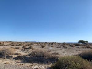 MLS #NP26216557 image #0