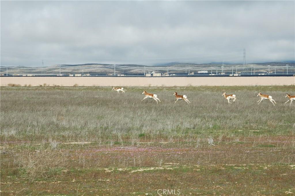 MLS #NS24145149 image #0