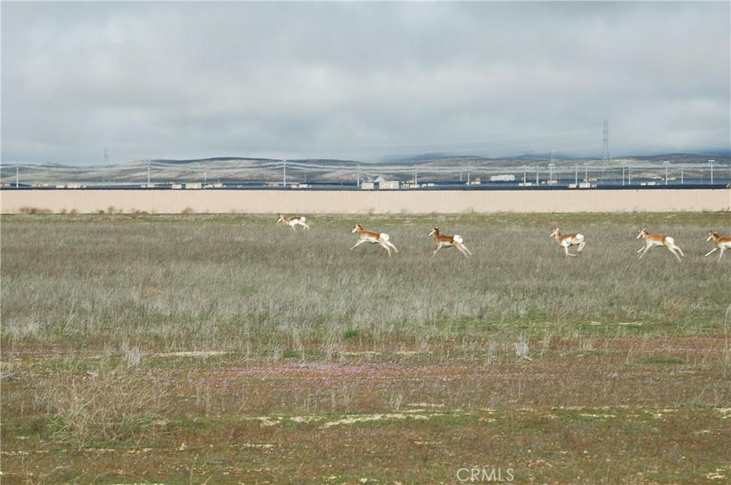 MLS #NS24145149 image #0