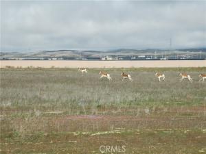Arrow Bear Trail Lot 243 California Valley CA 93453 | MLS #NS24145149 41 MLS #NS24145149 image #0
